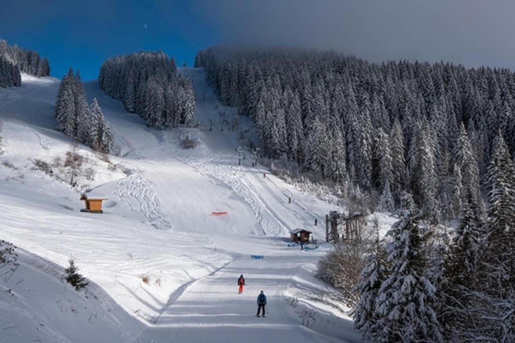 L'Enchalpe, Grand Et Lumineux Studio Avec Coin Montagne 5 Personnes, 60M Des Pistes, Piscine Couverte, Wifi, Grand Balcon Expo Est, Draps Non Compris Saint-Jean-dʼAulps Εξωτερικό φωτογραφία